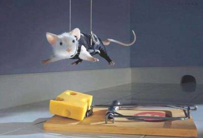 chof_weskod     omad9ola 7eta nwa7id awla ...........